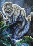 British Longhair (image for) British Longhair